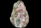 Polished Brecciated Pink Opal - Australia (Special Price) #64782-3